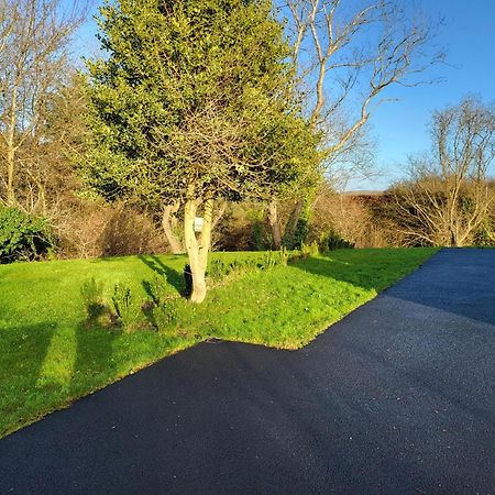 Millstream Cottage House & Apartment Waterford Exteriör bild
