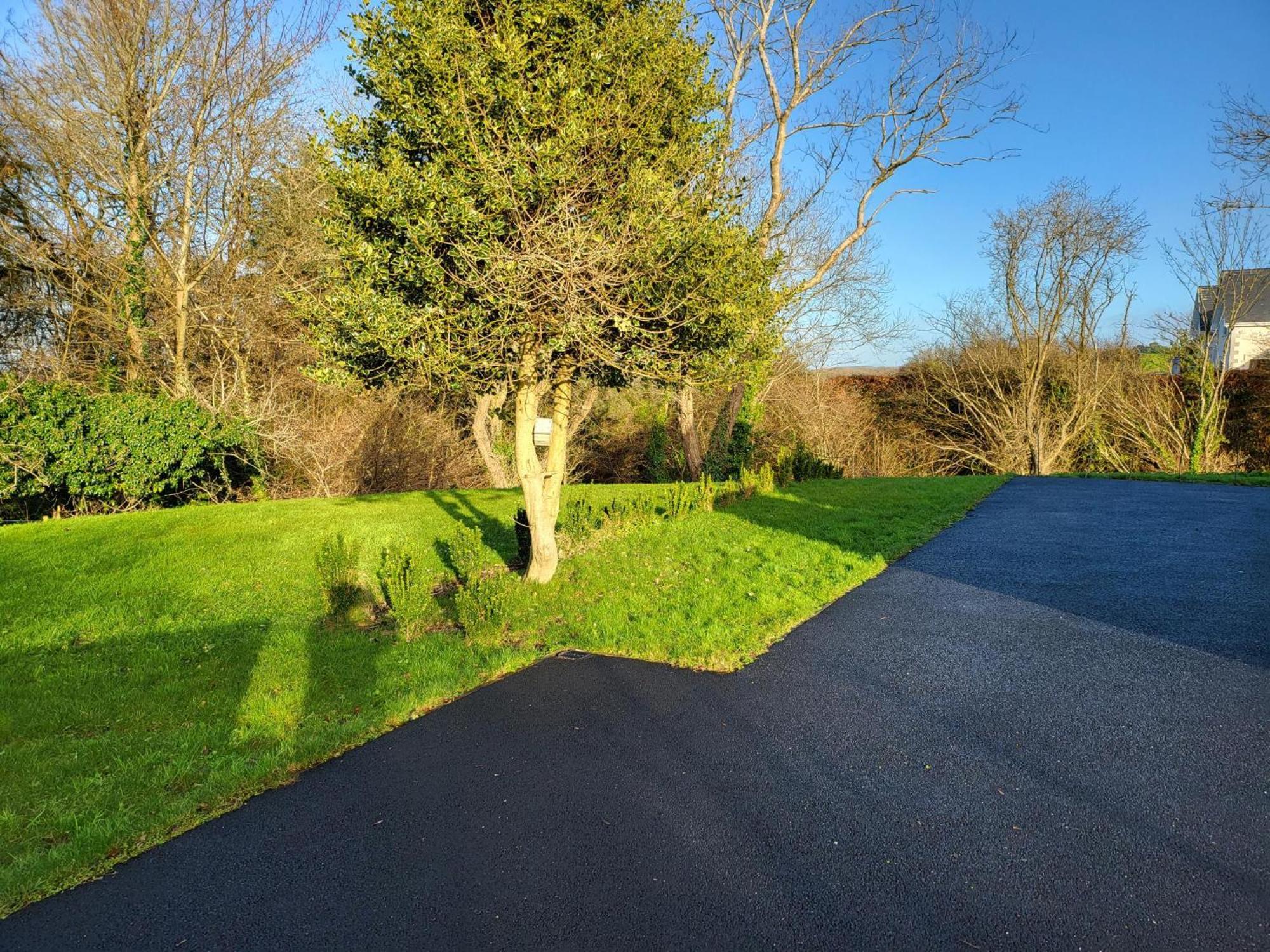 Millstream Cottage House & Apartment Waterford Exteriör bild